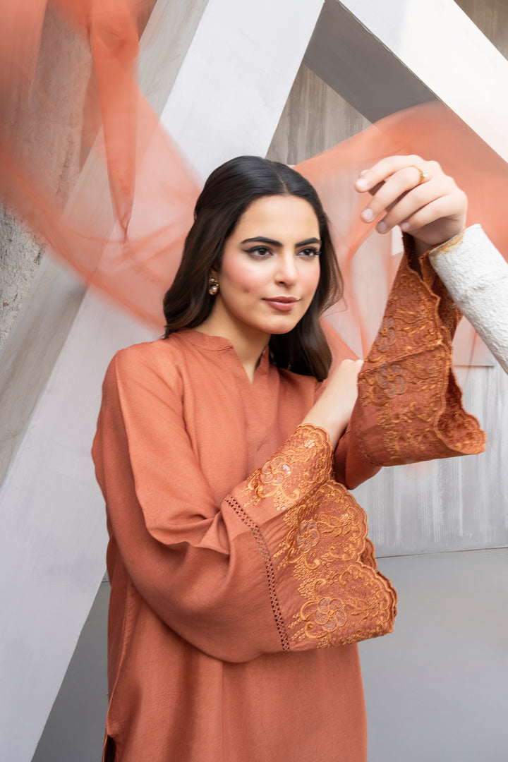 Rust Embroidery Raw Silk 3PC Suit