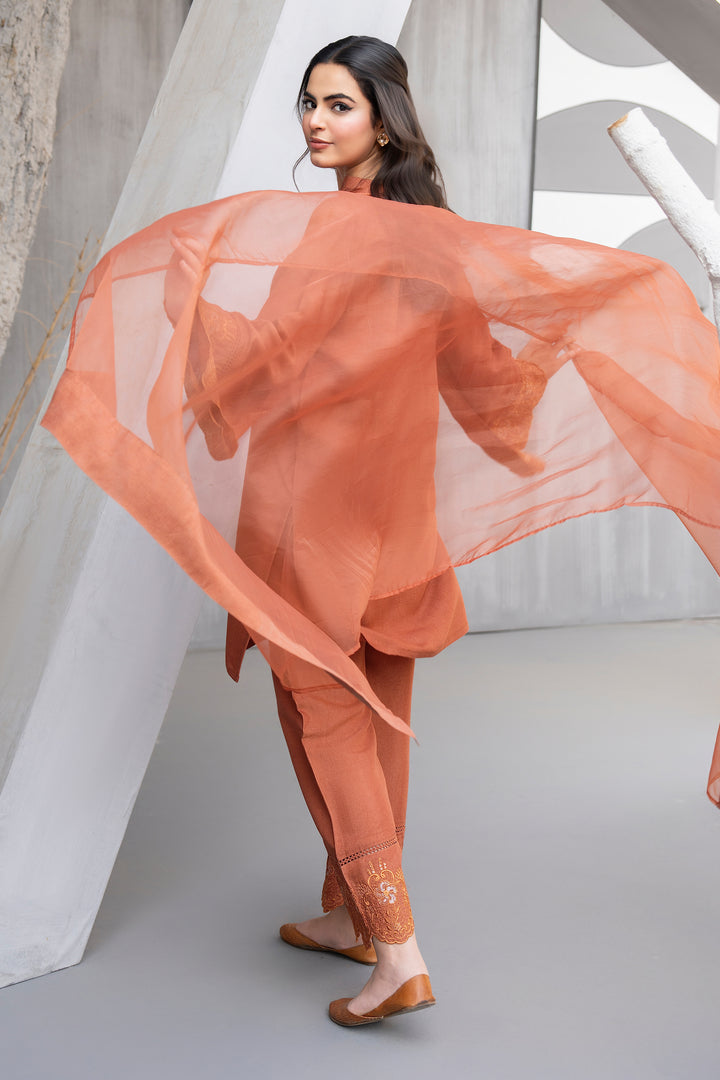 Rust Embroidery Raw Silk 3PC Suit