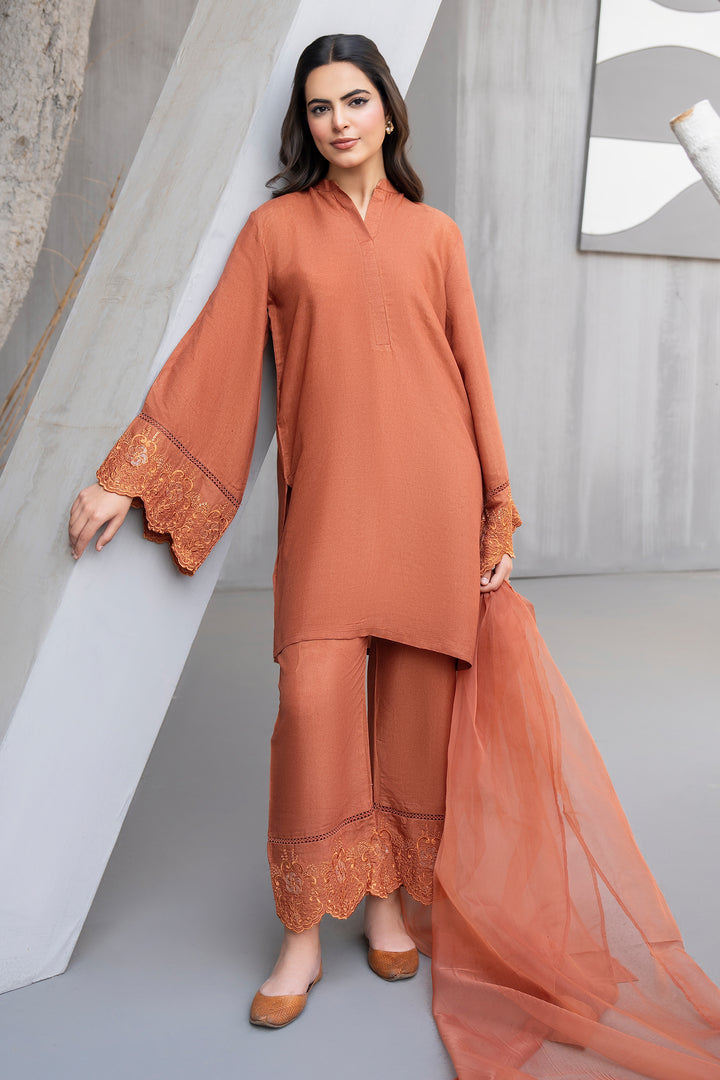 Rust Embroidery Raw Silk 3PC Suit