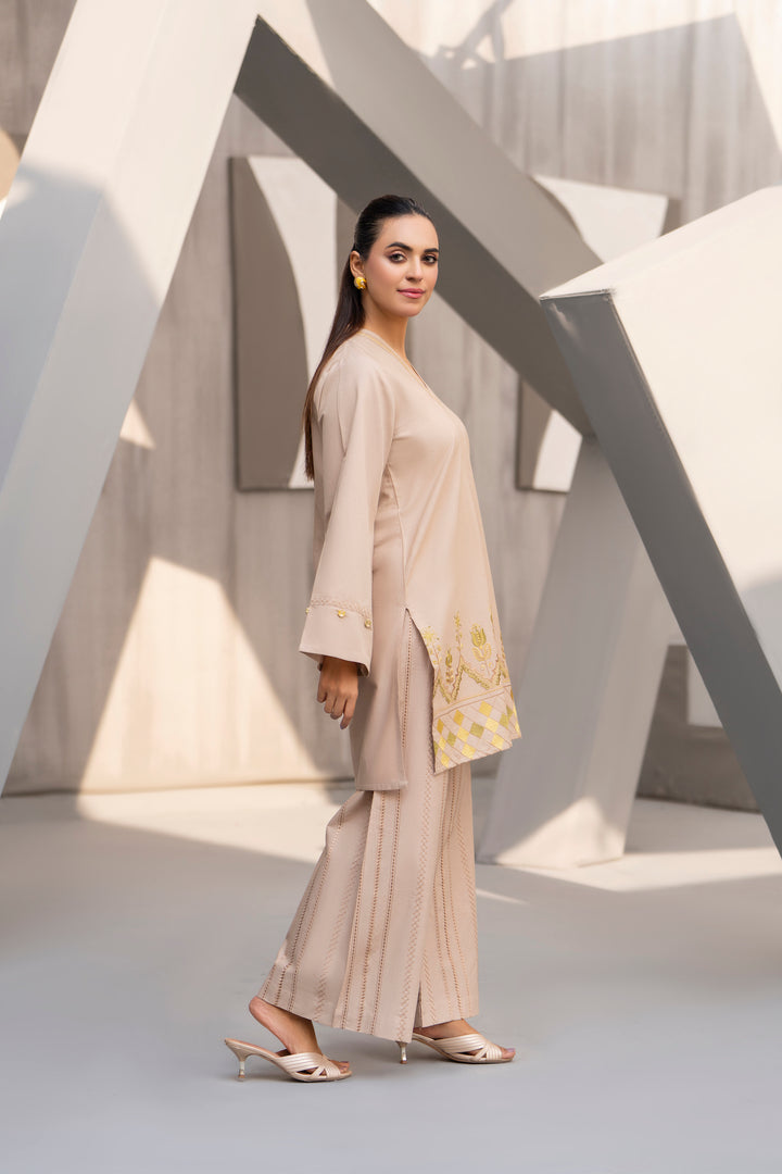 Beige Embroidered khaddar 2pc