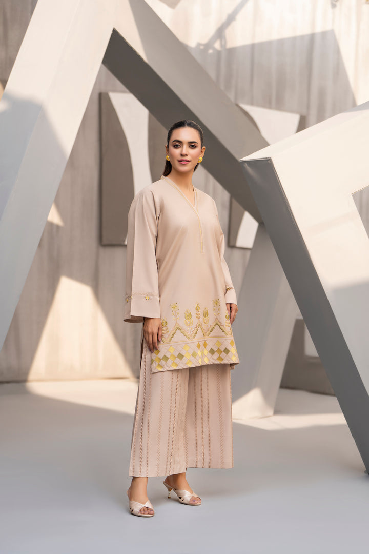 Beige Embroidered khaddar 2pc