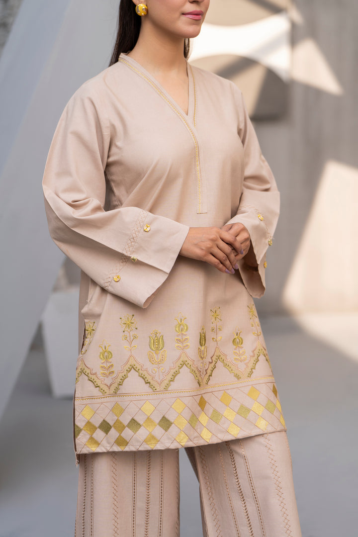 Beige Embroidered khaddar 2pc