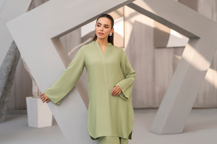 Pistachio Green Silk Karandi Solid 2pc