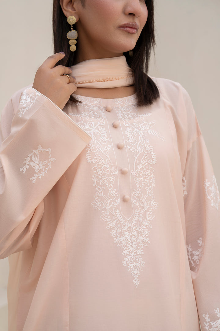 Peach Aari Embroidered 3 pc