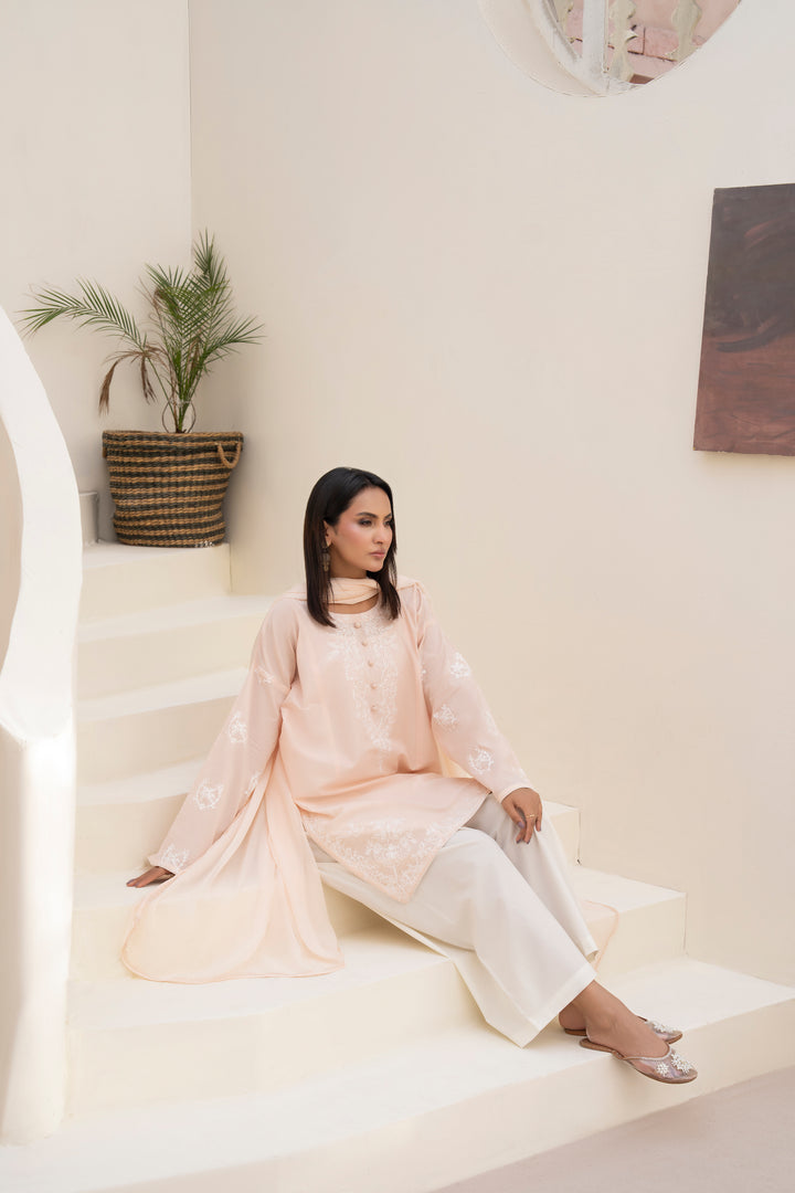 Peach Aari Embroidered 3 pc