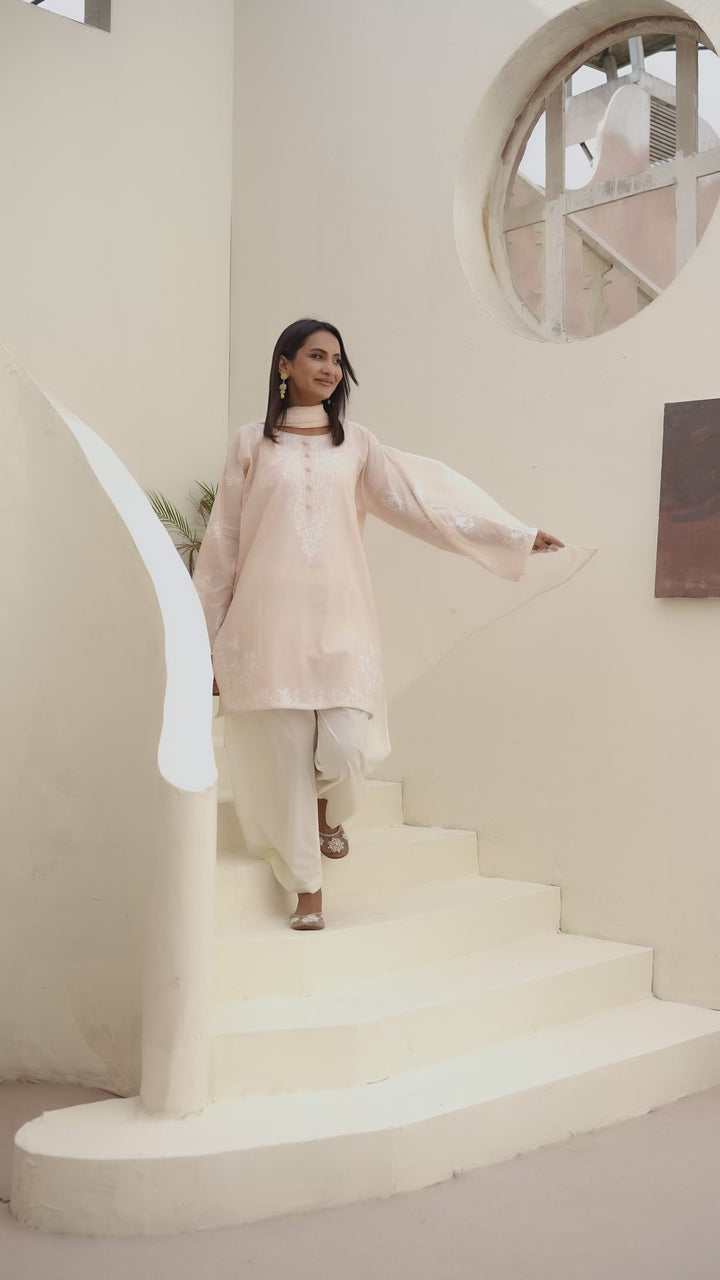 Peach Aari Embroidered 3 pc