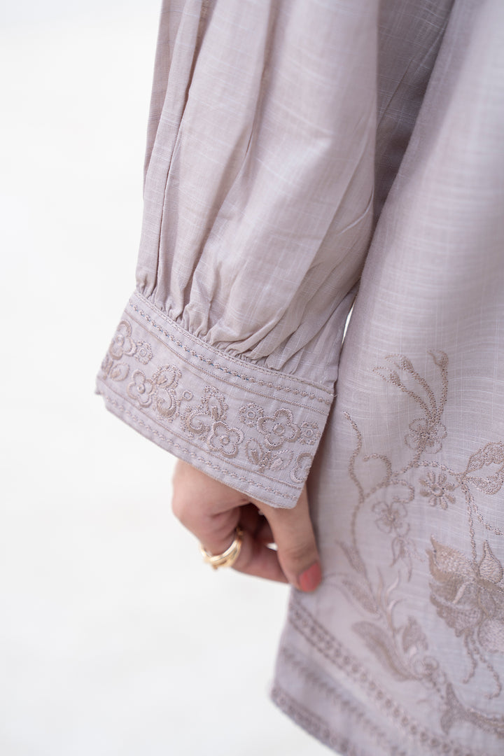 Beige Embroidery Slub by Slub 2PC Suit