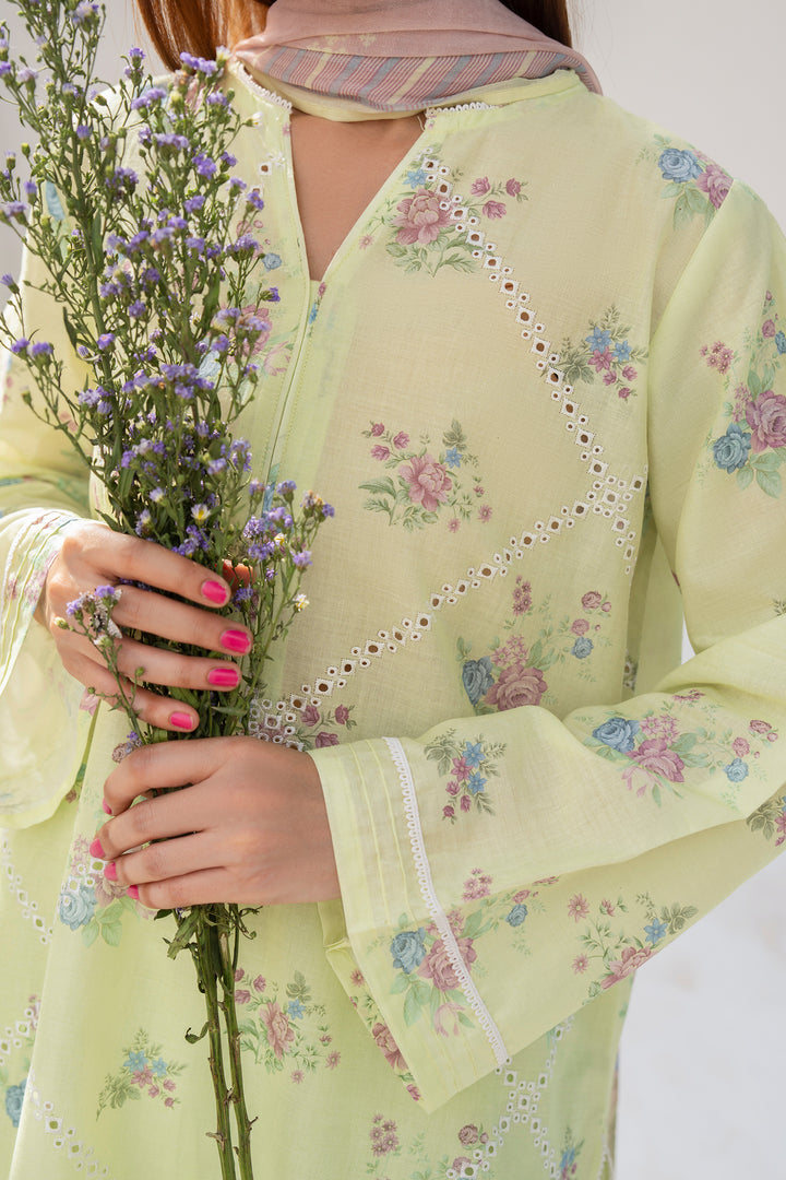 Light Green Chikankari Suit 3PC Suit