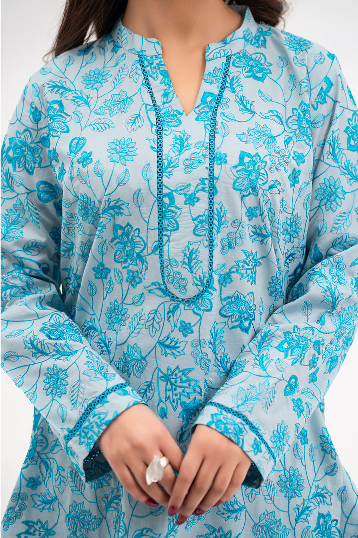 Powder Blue Embroidered Ready to Wear - SH0294