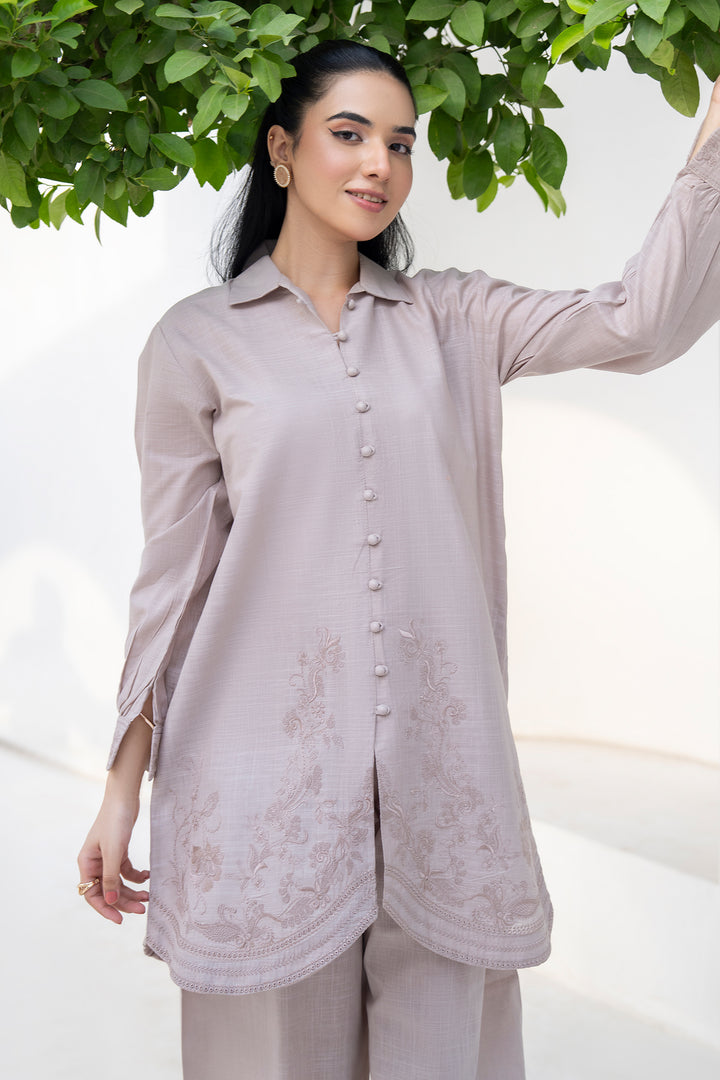 Beige Embroidery Slub by Slub 2PC Suit