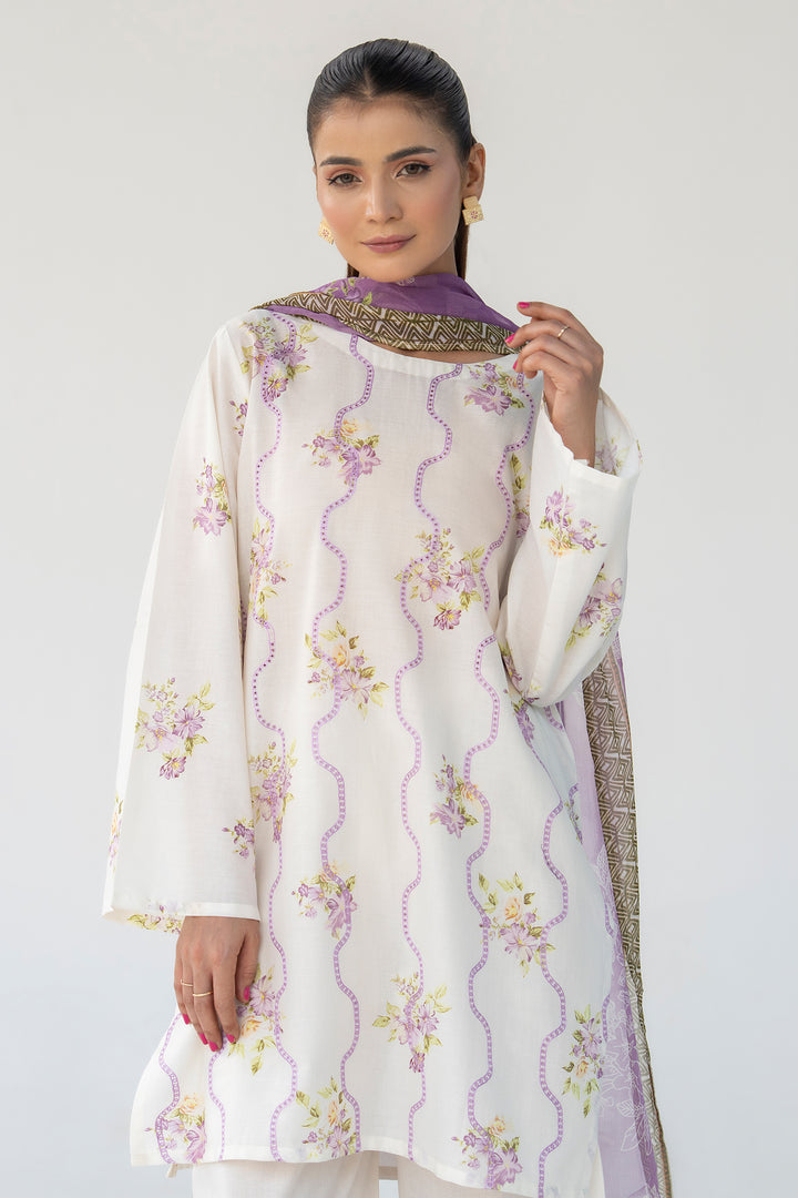 Off-White Chikankari Suit 3PC Suit