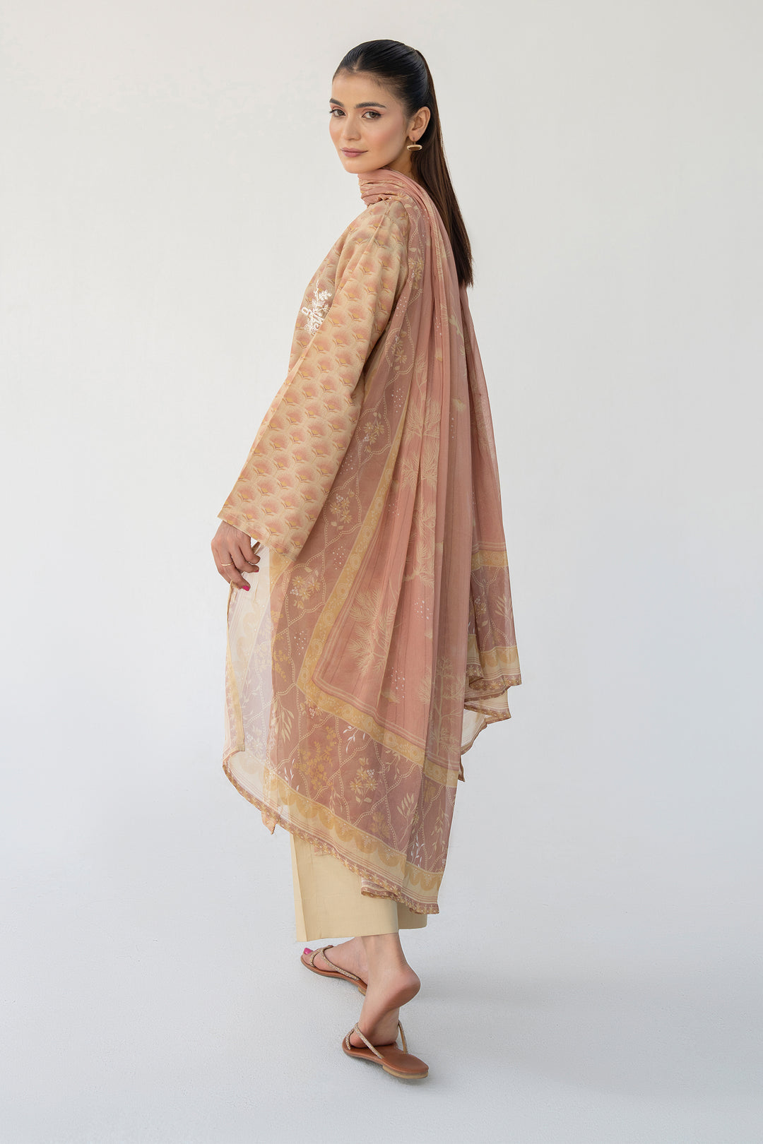 Brown Chikankari Suit 3PC Suit