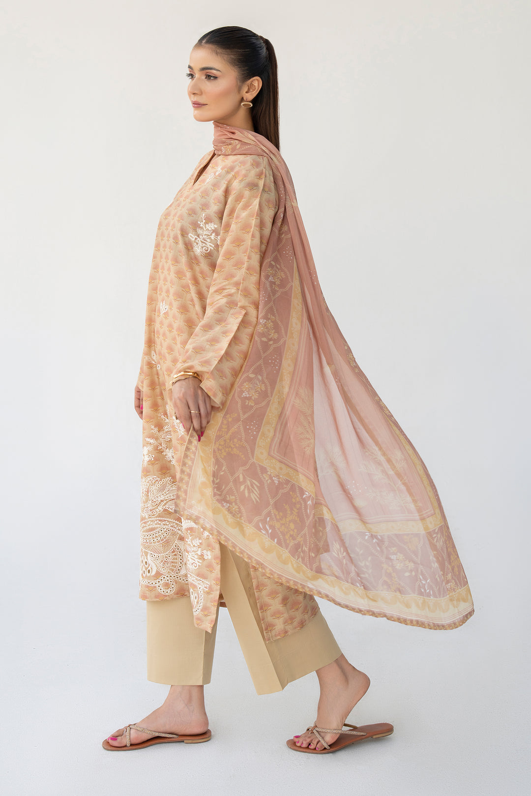 Brown Chikankari Suit 3PC Suit