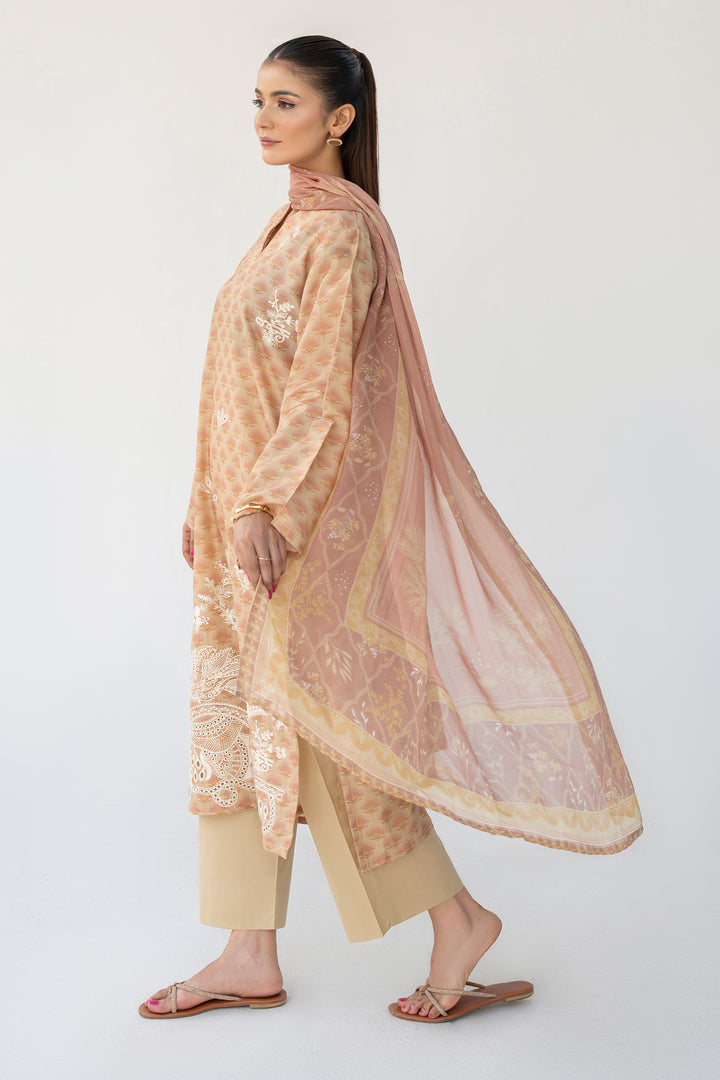 Brown Chikankari Suit 3PC Suit