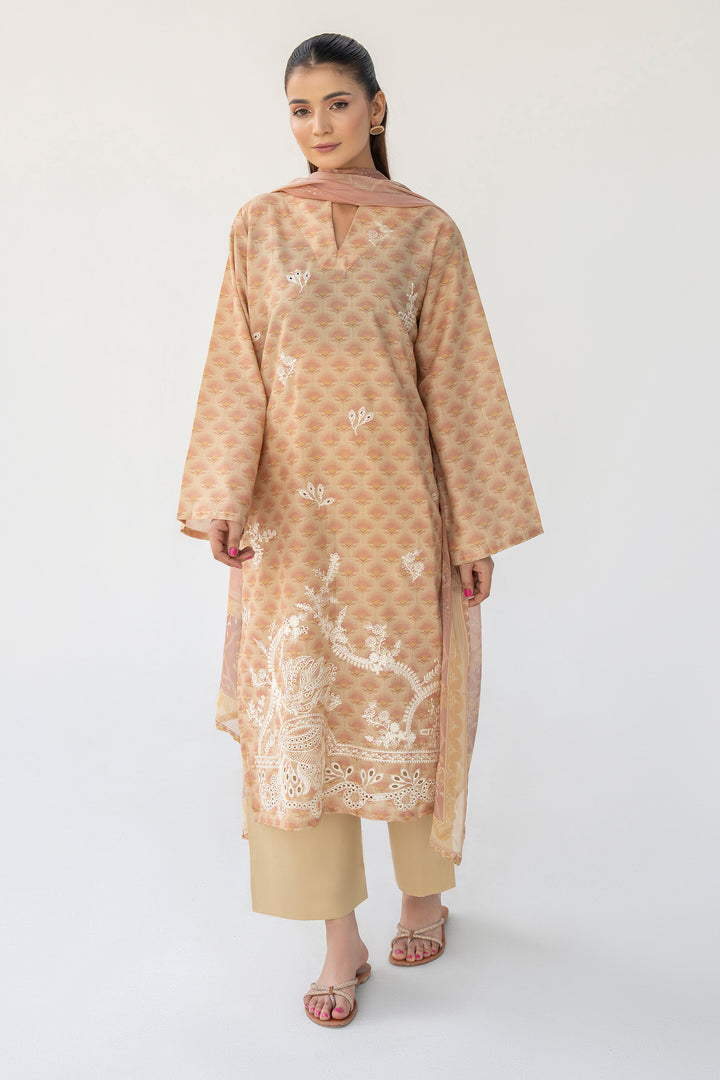 Brown Chikankari Suit 3PC Suit