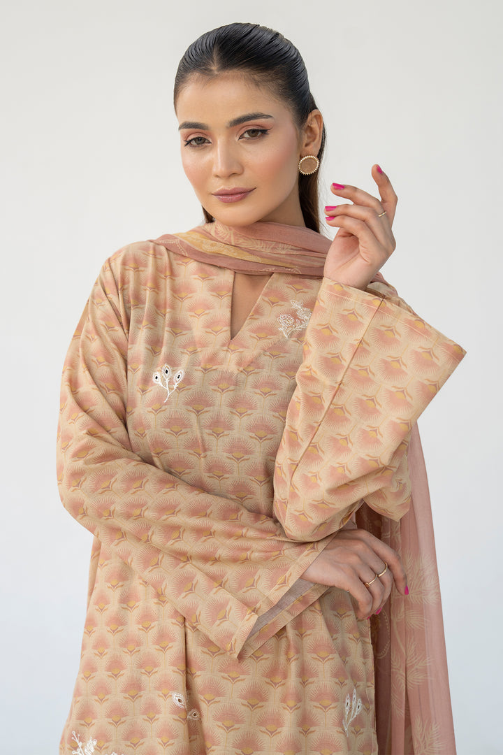 Brown Chikankari Suit 3PC Suit