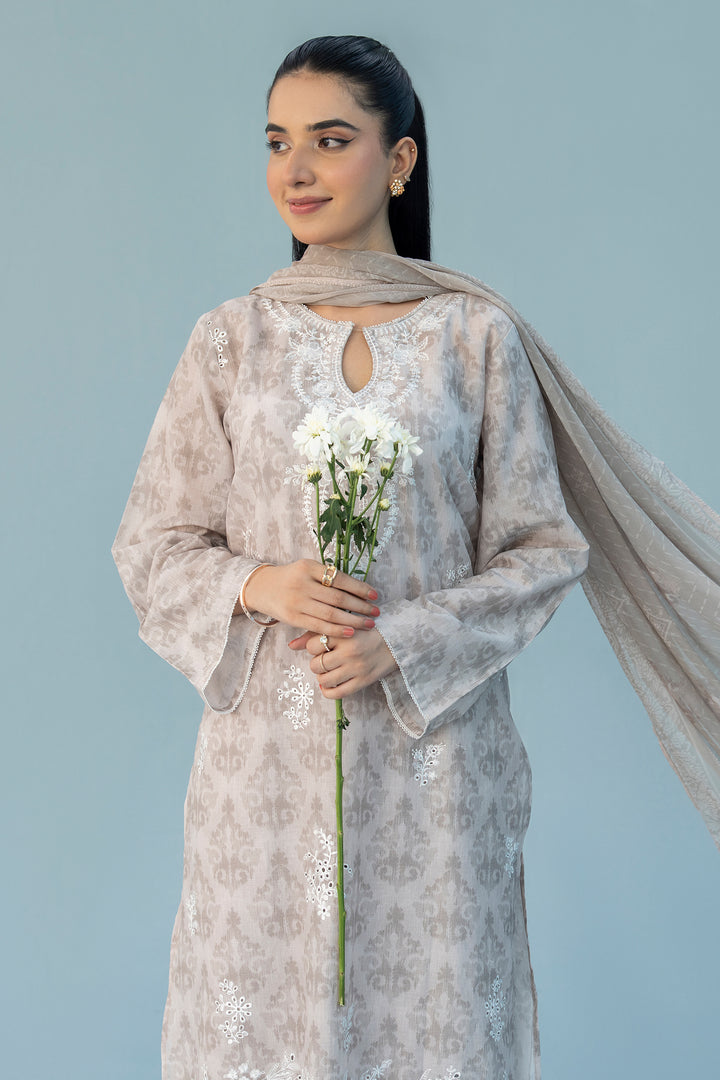 Grey Chikankari Suit 3PC Suit