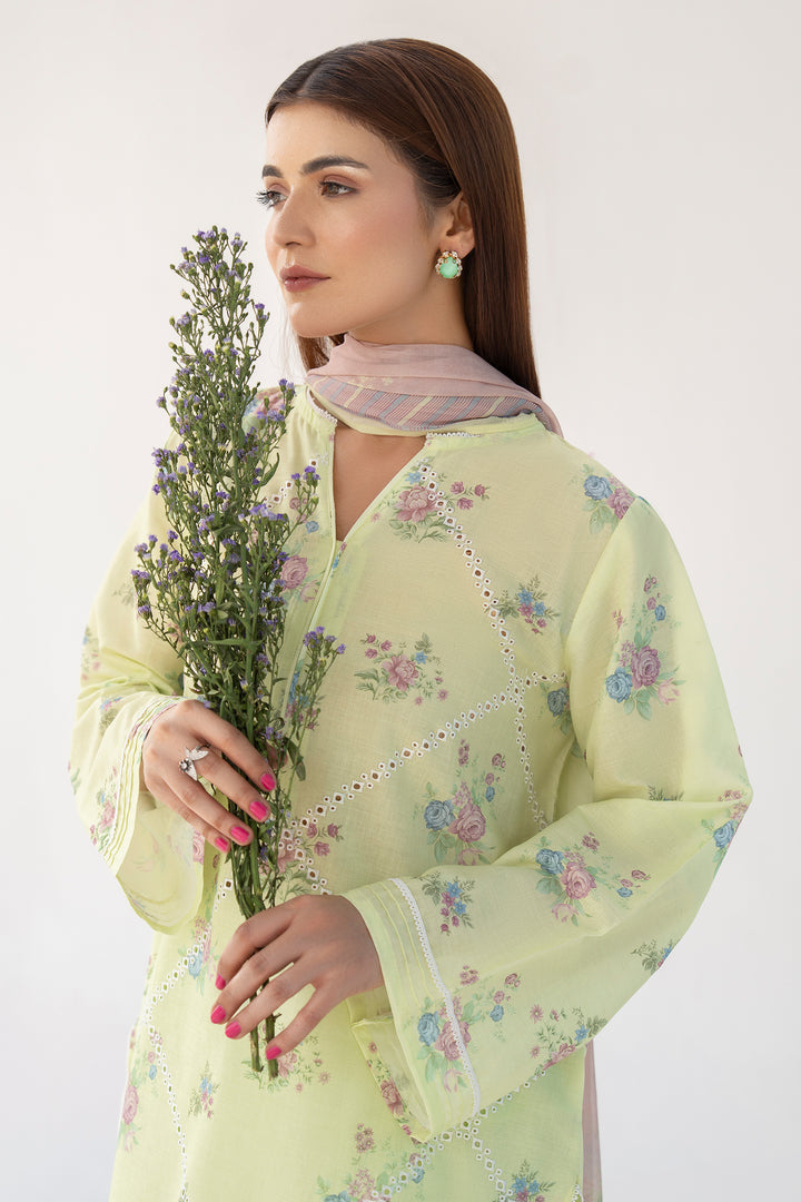 Light Green Chikankari Suit 3PC Suit