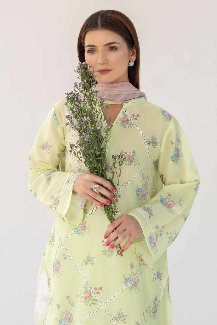Light Green Chikankari Suit 3PC Suit