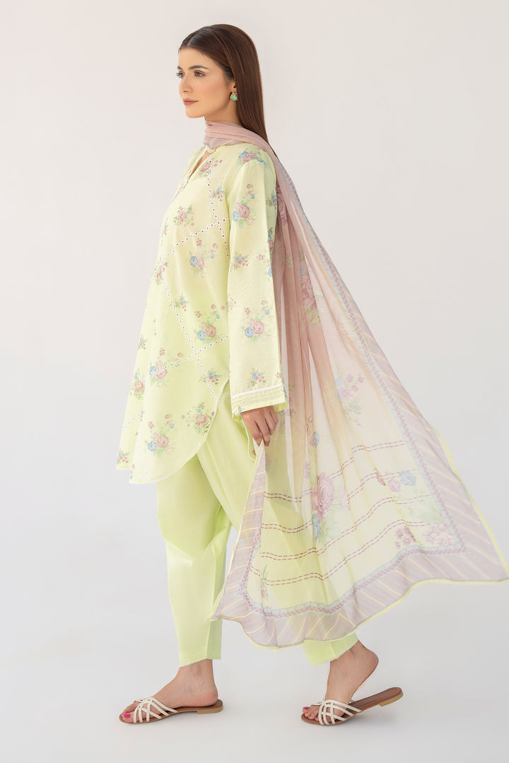 Light Green Chikankari Suit 3PC Suit