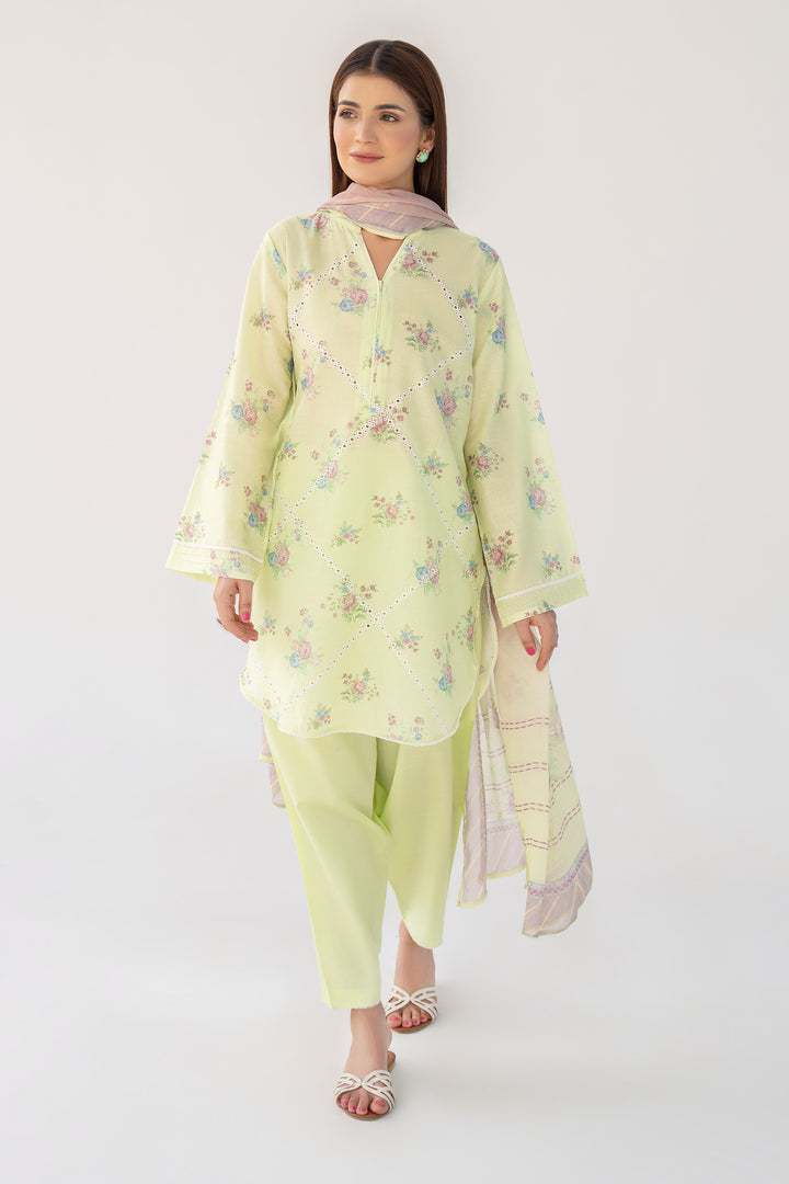 Light Green Chikankari Suit 3PC Suit