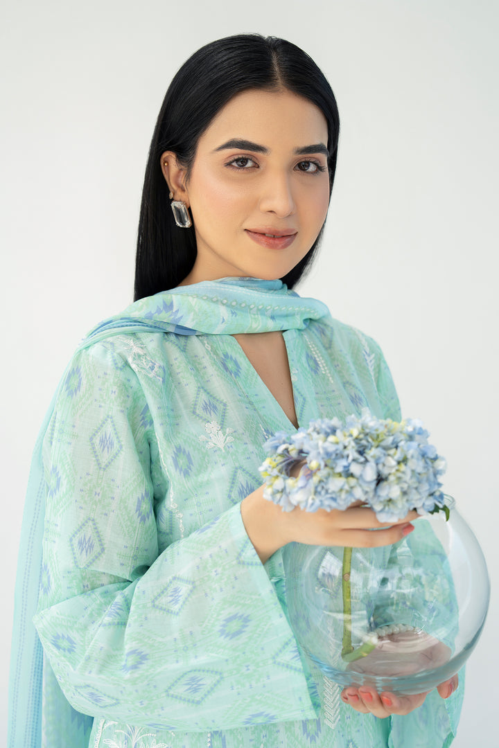 Aqua Chikankari Suit 3PC Suit